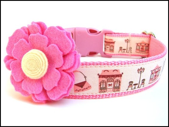 Girl Dog Collars With Bows