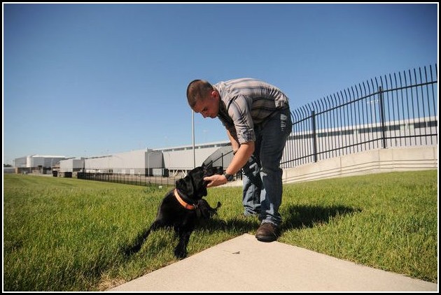 Military Dog Adoption Canada