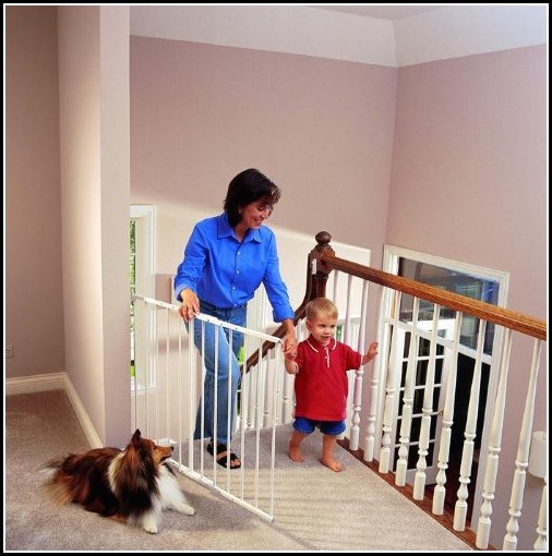 Baby Gates For Dogs