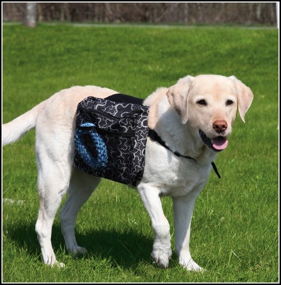 Backpack For Dogs To Wear
