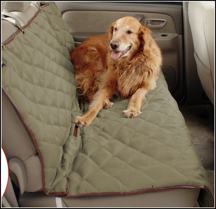 Best Dog Seat Cover