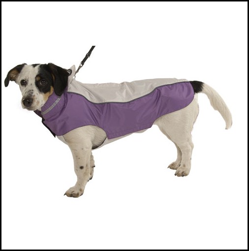Dog Bathing Suits For Large Dogs