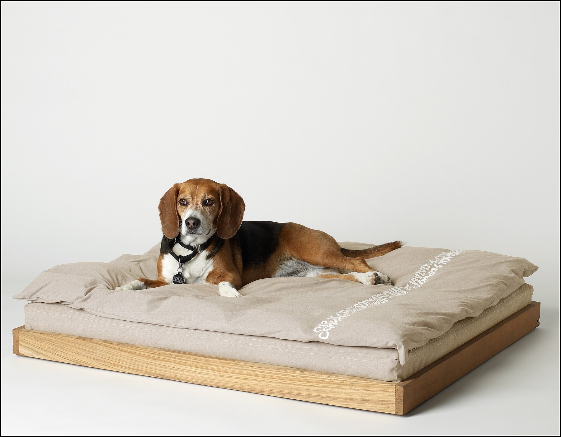 Dog Beds Australia