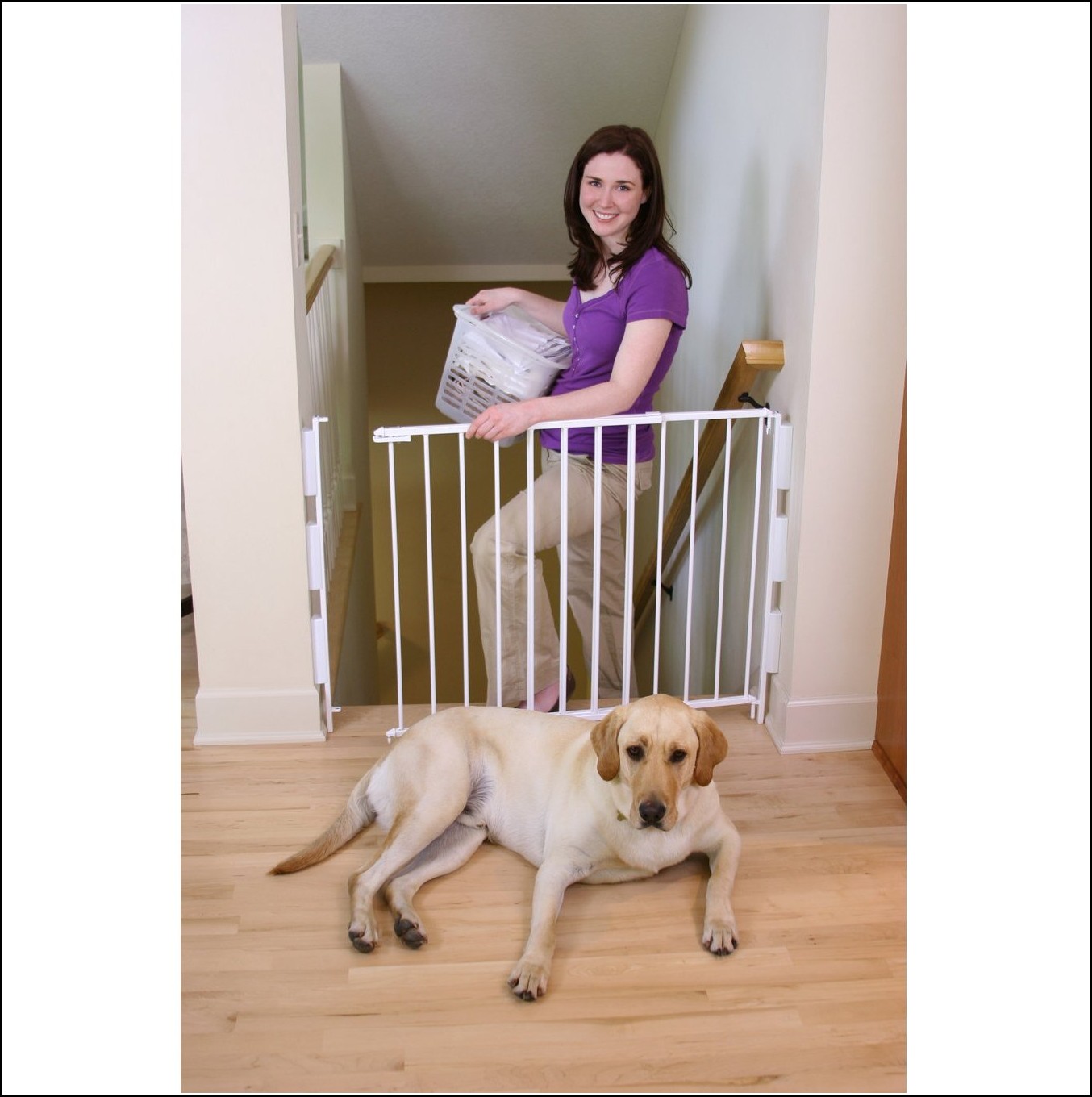 Dog Gates For Stairs
