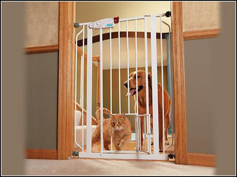 Dog Gates Indoor
