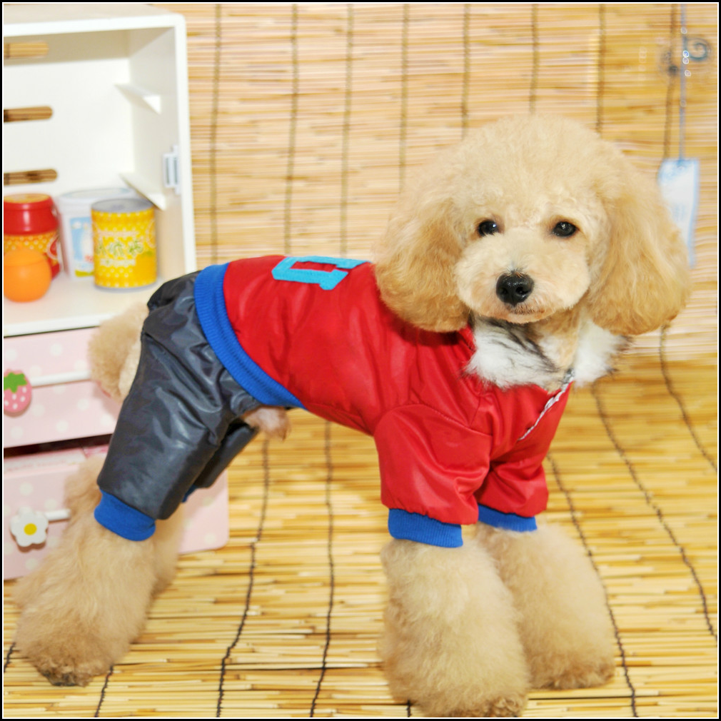 Dog Jackets With Legs