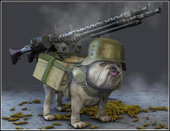 Cool Dogs With Guns