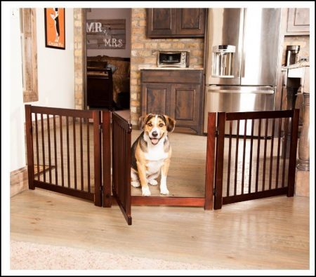 Dog Gates For The House